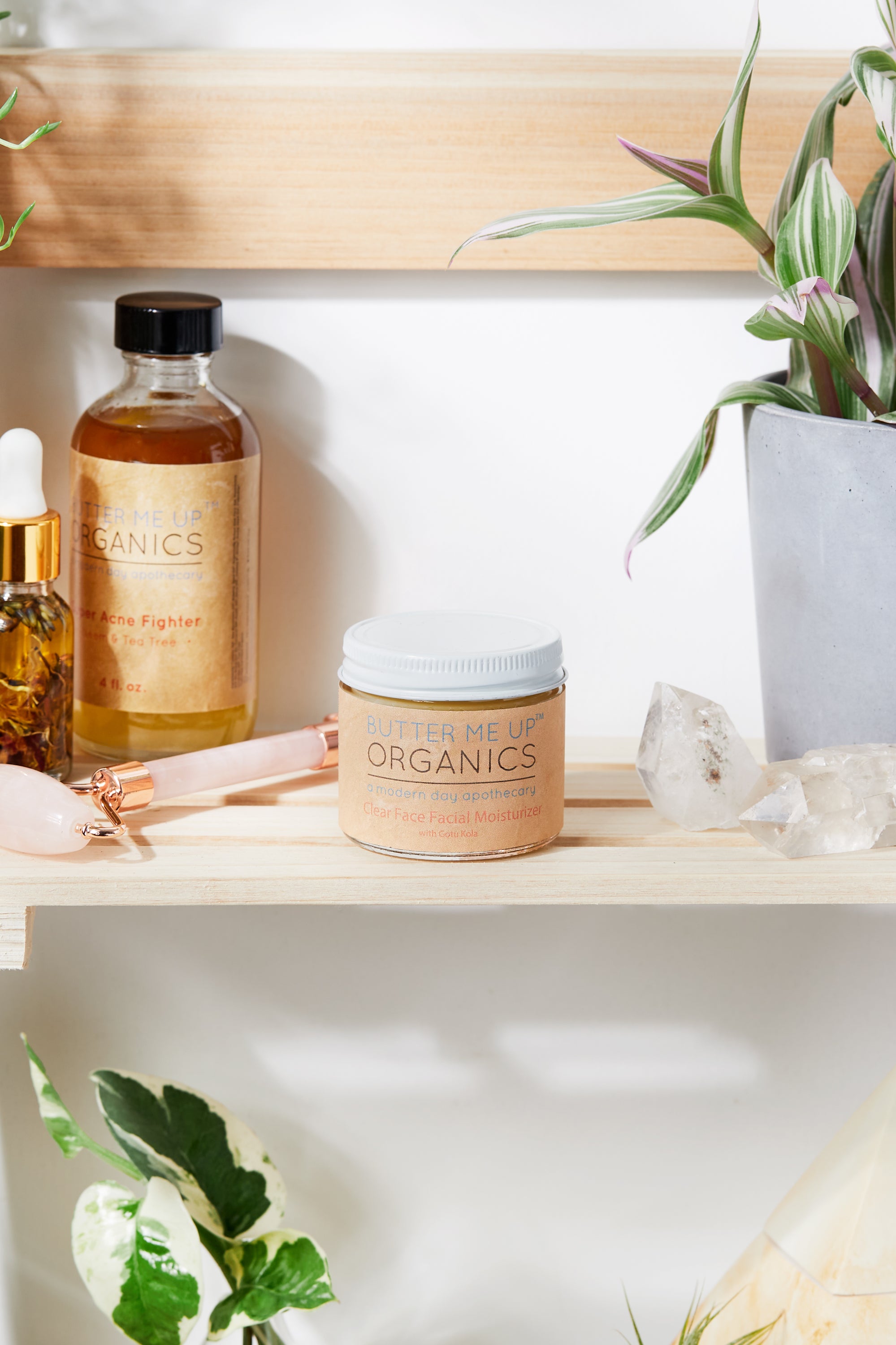 Organic green tea Night Cream Face Moisturizer