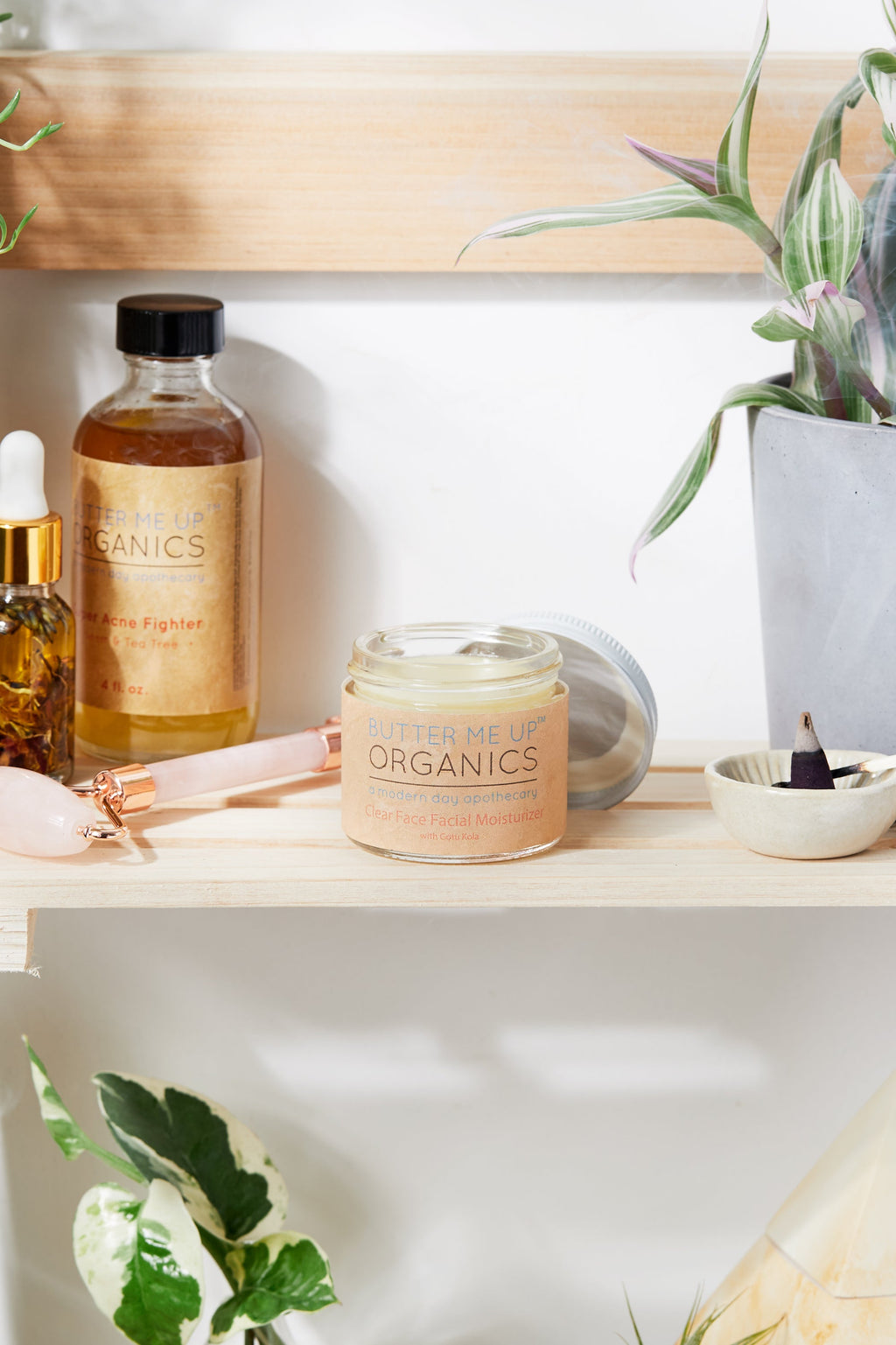 Organic green tea Night Cream Face Moisturizer