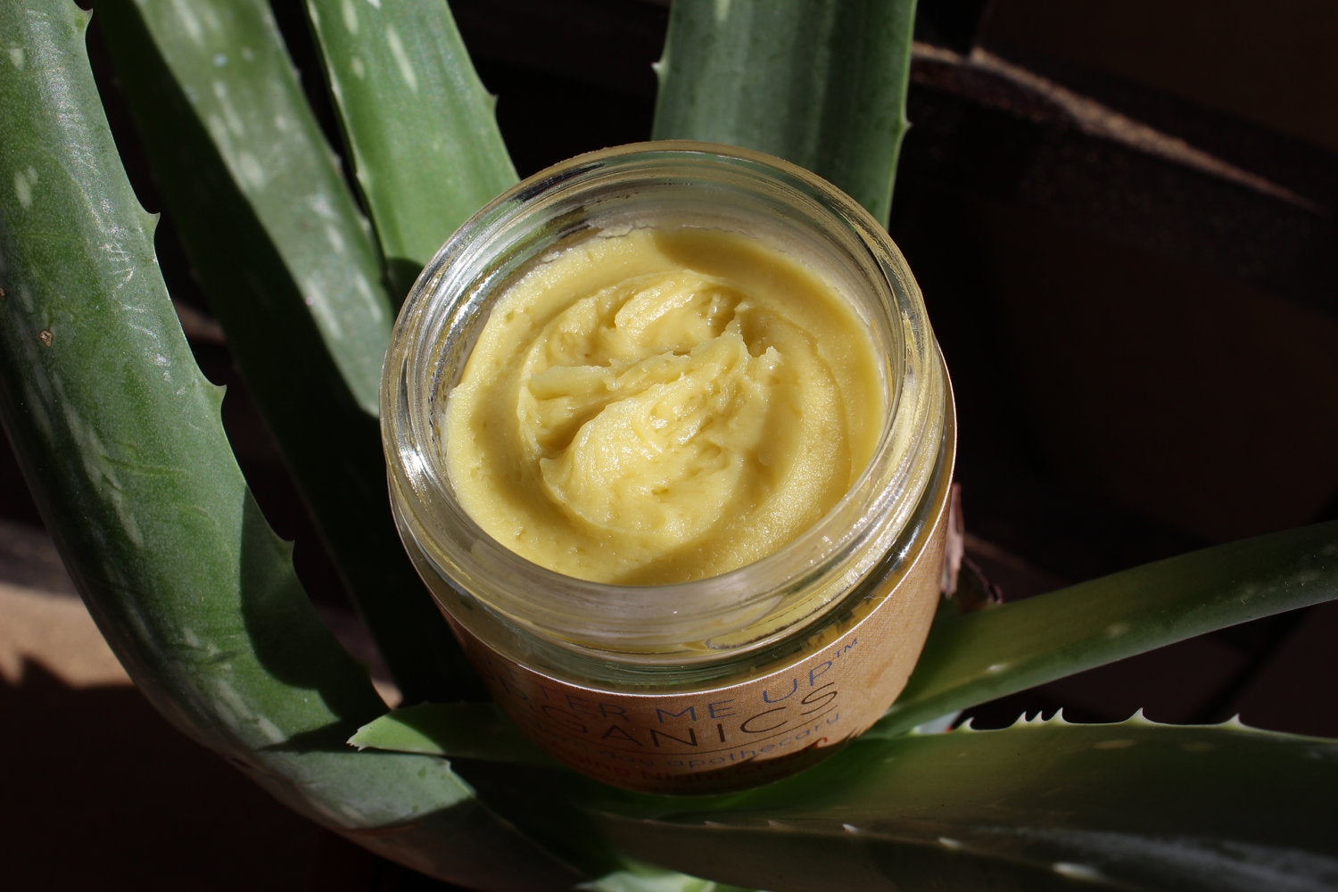 Organic green tea Night Cream Face Moisturizer