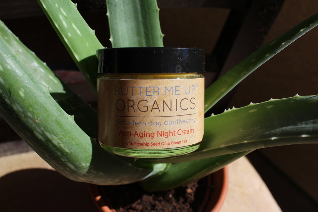 Organic green tea Night Cream Face Moisturizer